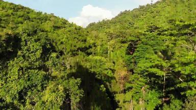 绿色丛林山热带树日益增长的<strong>丘陵地</strong>形KOH寒岛瀑布山无人机视图热带雨林景观亚洲环境保护概念