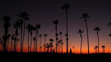 加州夏季黄昏《暮光之城》审美<strong>紫色</strong>的戏剧性的日落棕榈树标志性的轮廓著名的威尼斯海滩圣诞老人莫妮卡太平洋海洋度假胜地这些洛杉矶美国<strong>大气</strong>日落