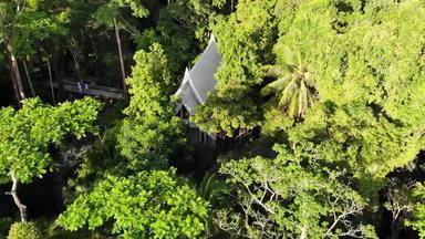绿色丛林山热带树日益增长的丘陵地形KOH寒岛寺庙树无人机视图热带雨林景观亚洲环境保护概念