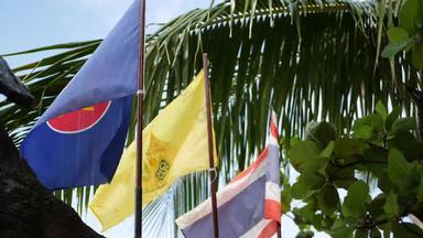旗帜挥舞着热带叶子象征东盟颤动的旗帜泰国泰国王绿色叶子异国情调的棕榈树多风的一天社区亚洲国家概念