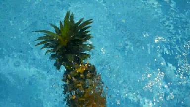 菠萝浮动蓝色的水游泳池健康的生有机食物多汁的水果异国情调的热带背景