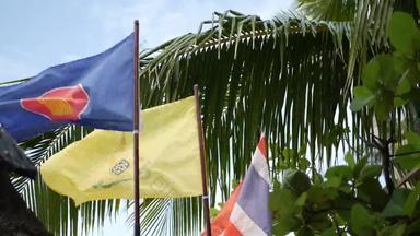 旗帜挥舞着热带叶子象征东盟颤动的旗帜泰国泰国王绿色叶子异国情调的棕榈树多风的一天社区亚洲国家概念