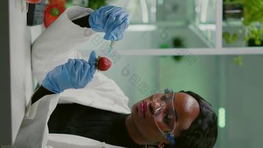 垂直视频化学家科学家注射草莓有机液体检查太太测试