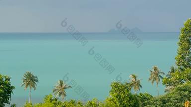 异国情调的椰子棕榈树移动风热带海景观田园天堂岛海滩