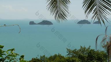 姐妹岛屿宁静水表面迷人的景观绿色植物深平静水寒泰国放松旅行假期假期度假胜地概念鸟眼睛全景空中无人机前视图
