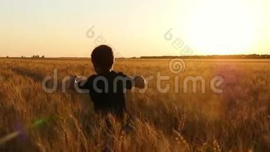 日落时，快乐的孩子在麦田里奔跑。 一个小男孩在麦田里玩耍。 激励人们。