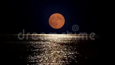 <strong>圆月</strong>光映在海水中，夏日浪漫的海滨之夜