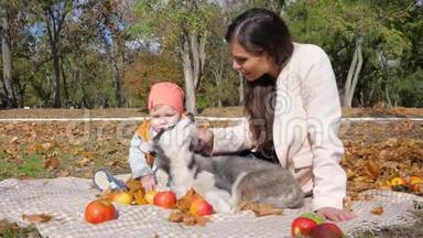 休闲，一家人带着狗，享受秋日，坐在背景树和的果木上，享受大自然