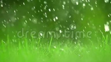 绿草如茵的草坪和飘落的雨滴，浅浅的DOF。 超级慢动作视频，500fps