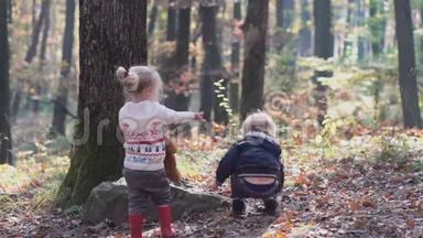 在大自然，树林，森林里的小男孩和小女孩.. 幸福的家庭和狗在森林里散步。 快乐的小女孩