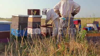 两个养蜂人，养蜂人正在收获蜂蜜，古董。