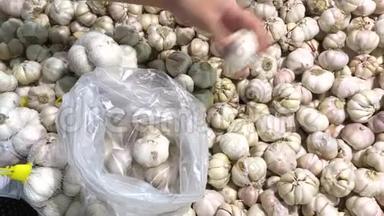 食品市场新鲜有机健康大蒜.. 大蒜蔬菜。 关闭4K录像。 女人选择大蒜。