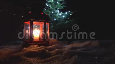 圣诞红彩灯与常青树紧紧相连