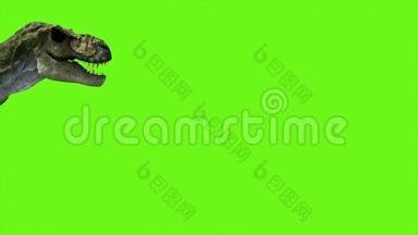 霸王龙恐龙动画上的绿色画面.. 很现实的渲染。 4k.