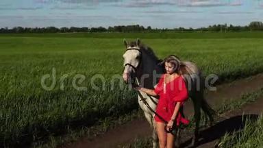 年轻的美女带着白马在绿茵场上<strong>散步</strong>