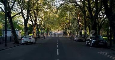 格拉斯哥开尔文道路树覆盖道路