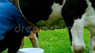 <strong>牛奶牛奶牛奶</strong>是一头牛。