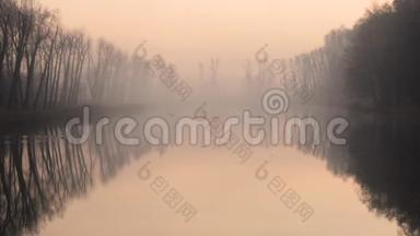 雾天早上在湖上和鸭子
