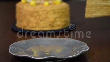 新鲜自制蜂蜜蛋糕`Medovik`。 把一块蜂蜜蛋糕放进碗里