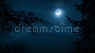 树木用月亮构成夜间森林