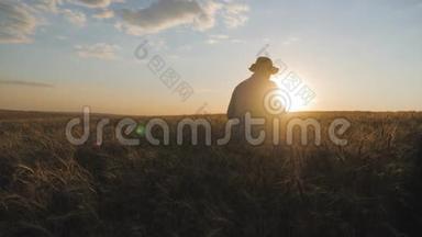 日落时分，金色麦田中的农学家农民剪影。 男看麦穗，后视..