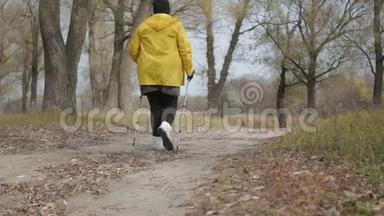 在秋天的森林里做<strong>北欧</strong>行走的高级妇女。 在秋天的小径上进行<strong>北欧</strong>步行比赛。 退休人士健康