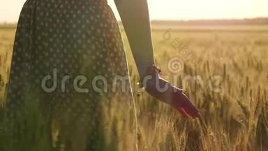 一个女孩在日落时在麦田里特写的剪影。 女孩`手碰到小麦的小穗。