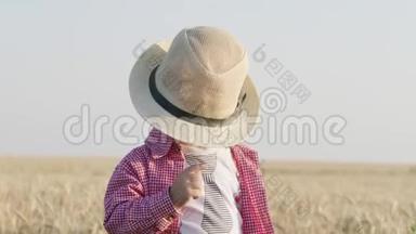 在阳光明媚的夏日，戴帽子的可爱男孩在金色的麦田里散步。 暑期乡村生活、度假、环境保护