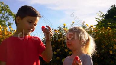 快乐的男孩和小女孩用红色多汁的覆盆子互相喂食