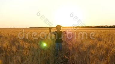 一个金发男孩挤在<strong>麦穗</strong>中间. 一个孩子在<strong>金色</strong>的夕阳下缓慢地跑过麦田。 快乐