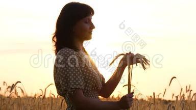 日落时分，一个穿着连衣裙的女孩捧着一束成熟的小麦。 妇人察看麦穗，用手摸麦穗