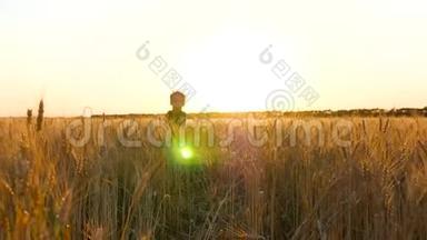 一个快乐的金发男孩挤在<strong>麦子</strong>的耳朵里。 一个孩子在金色的夕阳下穿过麦田。