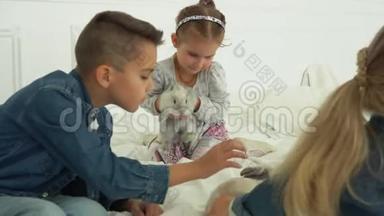 孩子们温柔地抚摸着一只可爱的灰毛绒兔子