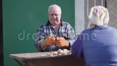 严肃的高加索农民和妻子在户外分拣土豆的肖像。 在阳光下做农村工作的老人和女人