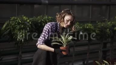 一位年轻的女花匠在温室里工作，照料鲜花。 穿着<strong>围裙</strong>在温室里检查和触摸的<strong>女孩</strong>