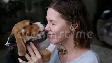 亲密的宠物猎犬亲吻一个女人，爱动物的概念。 狗舔着主人的鼻子。