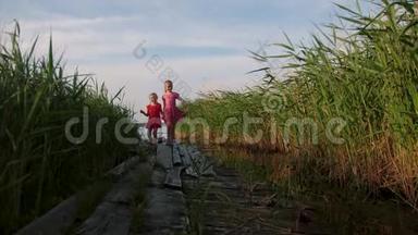 两个可爱的小女孩走在古老的木墩上，穿过湖边的绿草
