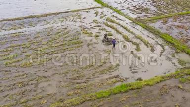 <strong>农民</strong>用手扶拖拉机在稻田里<strong>耕作</strong>，准备地区种植水稻。