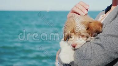 一个女人在大海的背景下抱着一只小狗。
