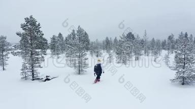 游客在冬季漫步林中，空中。 冬季体育活动。 游客徒步旅行雪冬森林雪