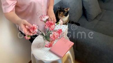女人抚摸一只猫，一束粉红色的康乃馨花，微笑着，盒子里的礼物躺在圆桌上，舒适的家庭概念