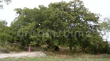 一个女孩沿着小路跑去看一棵已经有800年历史的古老橡树