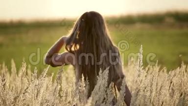 后景一位美女走在金色麦田，自由空间.. 心灵安宁的概念