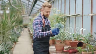 漂亮的园丁集中在一个大花棚里工作，他戴着蓝色手套，展示了这个过程