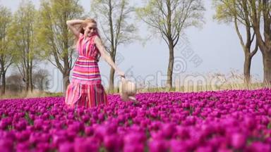 女孩捧着一束五颜六色的郁金香花，站在紫色的郁金香田野上。