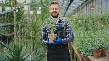 设备园丁带着<strong>大大</strong>的微笑，带着一株美丽的绿色装饰植物在一个旧罐子里，直视着。
