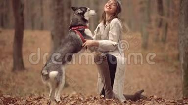 秋天公园里遛狗的女人。 美丽的女孩在秋天的自然背景上玩狗哈士奇。 秋天
