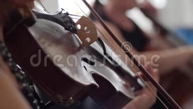 配备小提琴的木制小提琴，音乐家在管弦乐队演奏