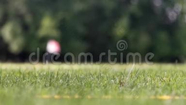 在一个阳光明媚的夏日，当球被绿色高尔夫球场上的一个楔子击中时，一个瞬间就结束了。 在外面。 罗