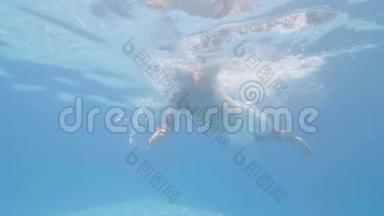 男游泳运动员漂浮在蓝水游泳池下。 水下景观成人男子游泳在浮动游泳池。 水上运动